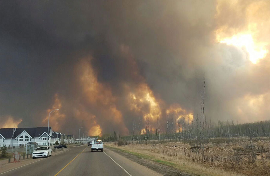 Disaster Relief